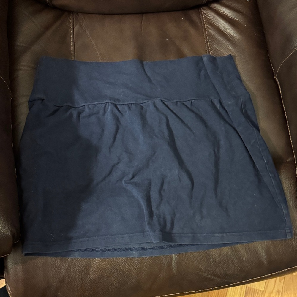 Express Dark Blue Mini Skirt